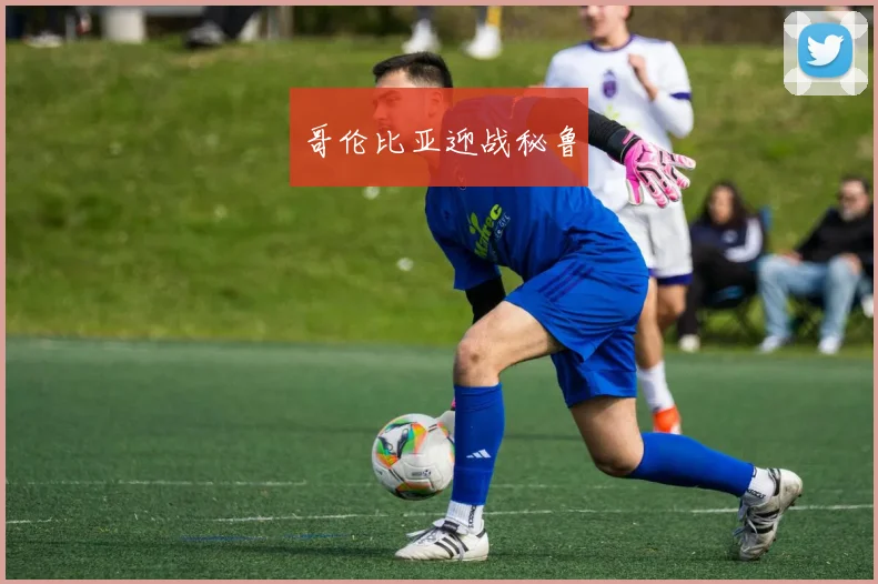 哥伦比亚迎战秘鲁