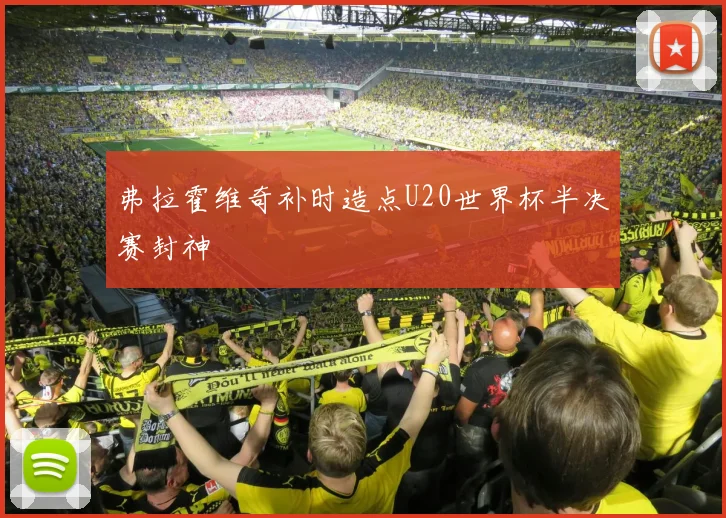 弗拉霍维奇补时造点U20世界杯半决赛封神