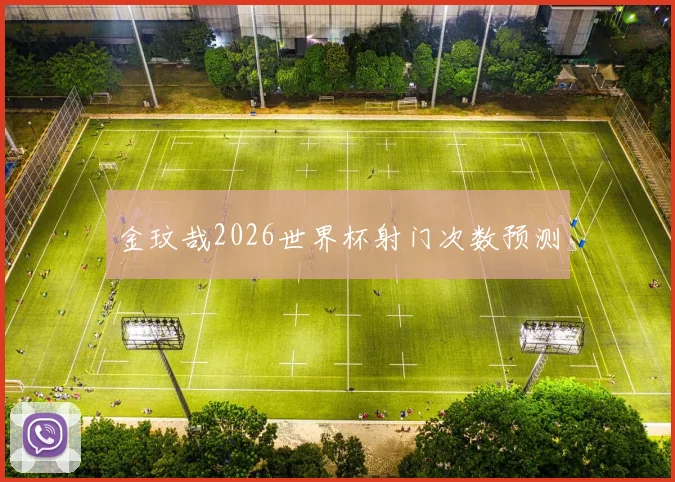 金玟哉2026世界杯射门次数预测