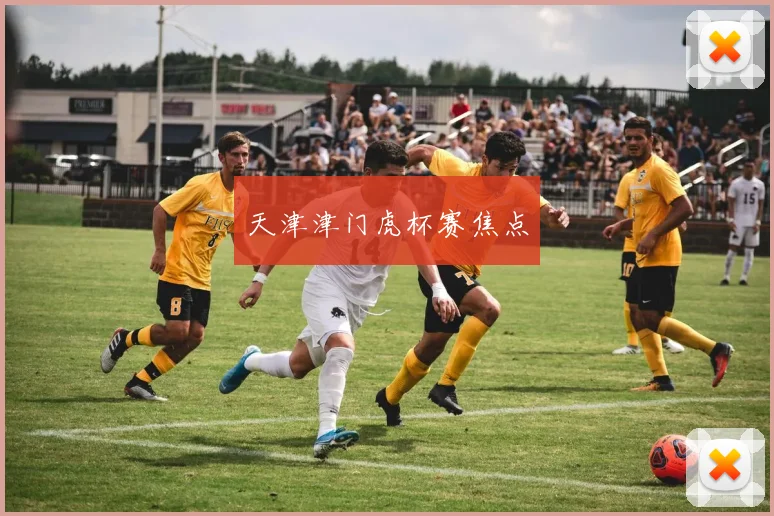 天津津门虎杯赛焦点