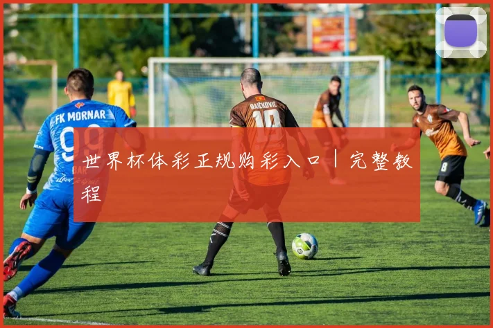 世界杯体彩正规购彩入口｜完整教程