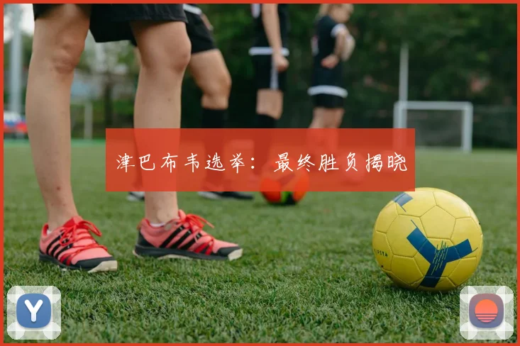 津巴布韦选举：最终胜负揭晓